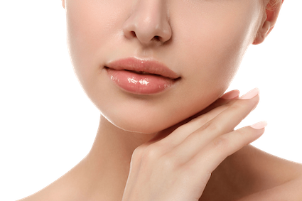 Professional Lips Services